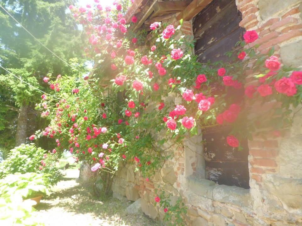 Bottega Di Montegiovi Hotel Scopeti Exterior foto